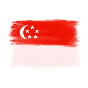 Scholarships in Singapore